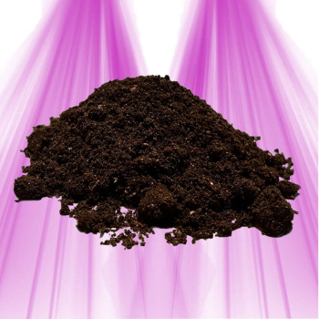 Bat guano - To activate your soil and the production of your plants - Terralba Terralba - 1