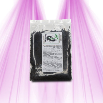 Biochar Terralba - Organic amendment with vegetable charcoal Terralba - 1