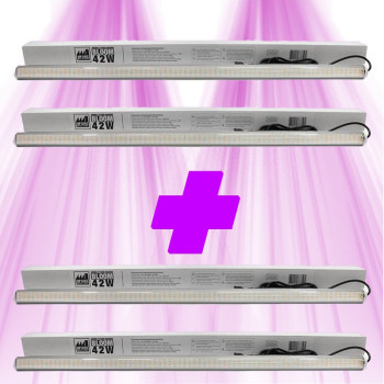 Pack Barres P-LED 42W BLOOM 95 cm - PureLED x4 Pure LED - 1
