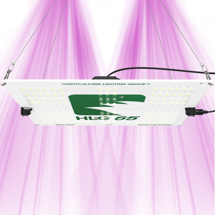 HLG 65 V2 - LED Horticultural Lamp - 4000K Horticulture Lighting Group - 2