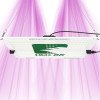 HLG 65 V2 - LED Horticultural Lamp - 4000K Horticulture Lighting Group - 2
