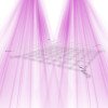 WebIt elastic net for plants - Secret Jardin Secret Jardin - 1