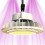 LED Horticultural Lighting - HPLED 100W - FULL SPECTRUM - Secret Jardin