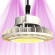 &Eacute;clairage Horticole LED - HPLED 200W - FULL SPECTRUM - Secret Jardin