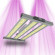 Pure LED Pro V2.0 240W - High quality indoor growing LED panel