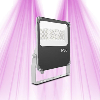 LED horticultural lamp 10W - GVL SPOT V4 SLIM - Lighting for green plants and plant walls - 1
