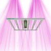 Lazerlite 720W - Multi-bar lighting for growth and flowering - Pure Light - 1