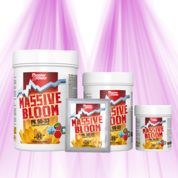 Massive BLOOM flowering booster - Hydropassion