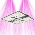 PURELED Q320 V2 - Horticultural LED panel growth and flowering