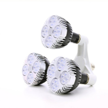 Pack 3 SpectraBULB X30 bulbs + Support + E27 cable - Ready to use