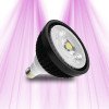 Pack 3 SpectraBULB X20 bulbs + Support + E27 cable - Ready to use
