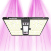Quantum Bears 160W - Powerful Full Spectrum LED Horticultural Lighting - Calitek