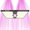 Quantum Bears 260W - Powerful Full Spectrum LED Horticultural Lighting - Calitek