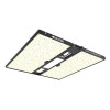 Quantum Bears 260W - Powerful Full Spectrum LED Horticultural Lighting - Calitek