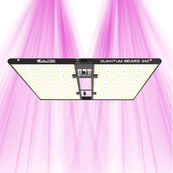 Quantum Bears 340W - Powerful Full Spectrum LED Horticultural Lighting - Calitek