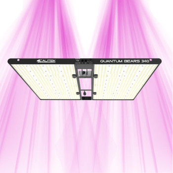 Quantum Bears 340W - Powerful Full Spectrum LED Horticultural Lighting - Calitek