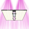 Quantum Bears 420W - Powerful Full Spectrum LED Horticultural Lighting - Calitek