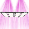 Quantum Bears 680W - Powerful Full Spectrum LED Horticultural Lighting - Calitek