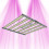 Pure LED Pro V2.0 680W - Samsung LED panel for high quality indoor cultivation