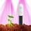 Smart Soil Moisture Meter