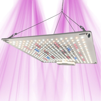 Rhino Series 130 V4 - New generation LED horticultural panel - CannaLED