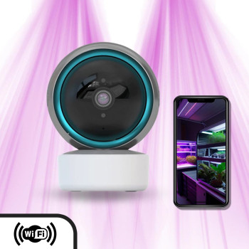 Wifi surveillance camera for culture chamber