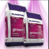 Plagron Grow Mix - stored indoors Plagron - 1
