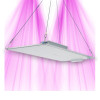 Agrolight - Quantum BOARD 240W LED Panel - Optimized Growth and Light Flexibility