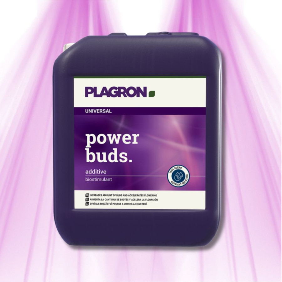 Plagron Sugar Royal - Improves taste and shortens the cultivation period