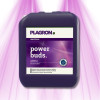 Plagron Sugar Royal - Improves taste and shortens the cultivation period