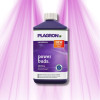Plagron Sugar Royal - Improves taste and shortens the cultivation period