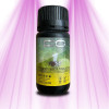 CO2 Effect Booster - Phase 1