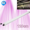 SpectraLINE V2 - 30/60/90/120cm barres étanches pour semis, boutures jeunes plantes