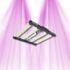 Grizzly Pro 180W - Système Led Multi-Barres pour la culture indoor - Calitek