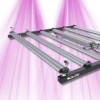 Horticultural LED bars Grizzly 630W 3.0 - Growth and flowering lighting by Calitek