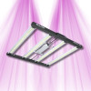 Horticultural LED bars Grizzly 260W 2.9 - Growth and flowering lighting by Calitek