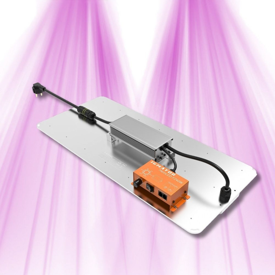 Ignator HeroLED F240W - Éclairage horticole LED