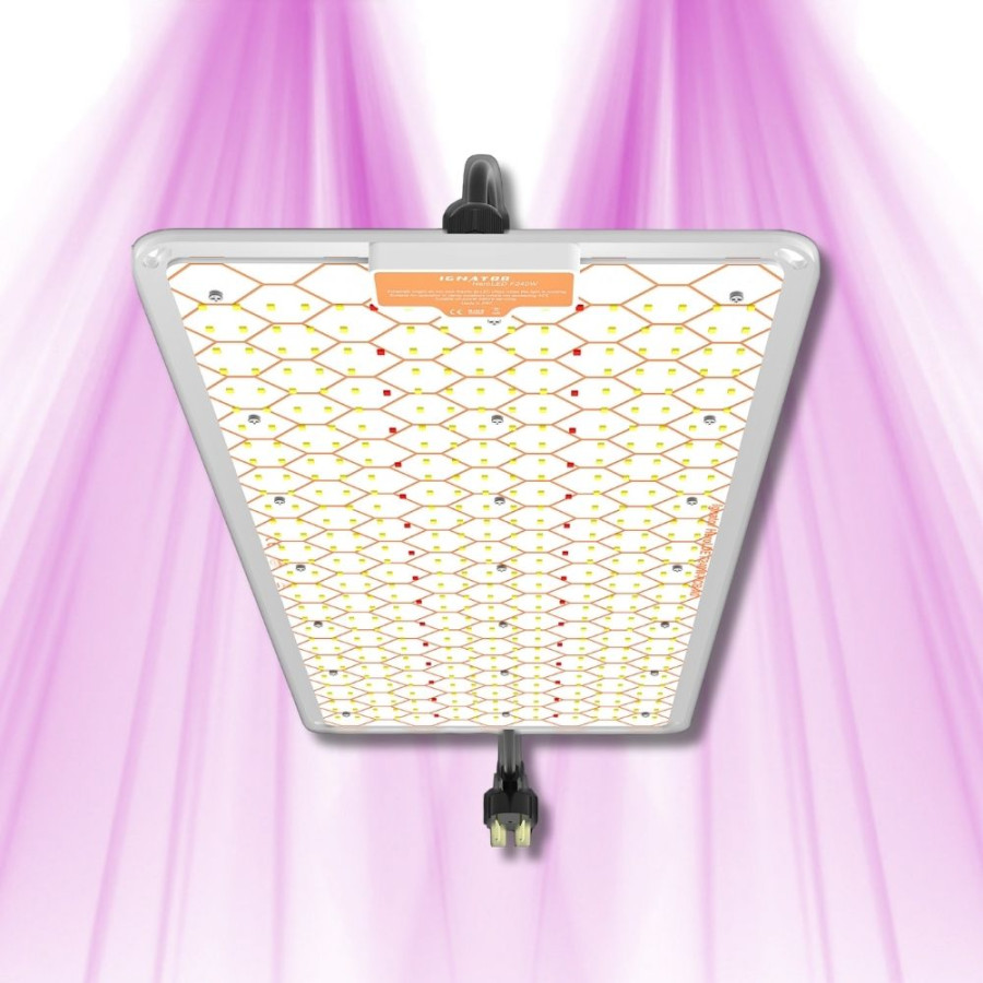 Ignator HeroLED F240W - Éclairage horticole LED