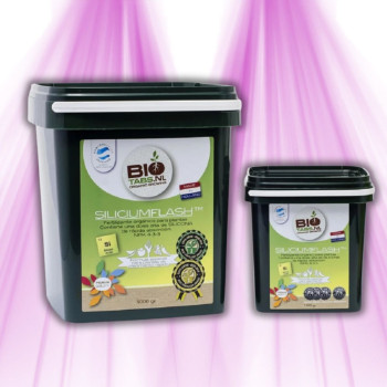 BioTabs Silicium Flash - Fertilisant Naturel à Absorption Rapide pour Croissance et Floraison Optimales