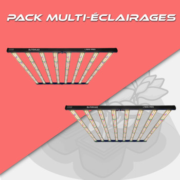Pack - BloomLED - SpectraWild L960 x2 BloomLED - 1