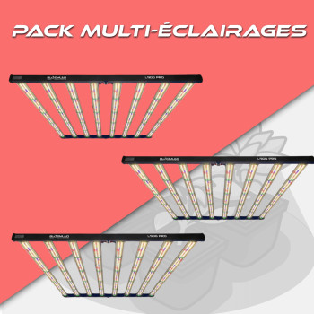 Pack - BloomLED - SpectraWild L960 x3 BloomLED - 1