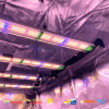 SpectraWILD S320 - LED horticultural bars compatible with home automation - Samsung LEDs - 320W
