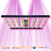 SpectraWILD S320 - LED horticultural bars compatible with home automation - Samsung LEDs - 320W