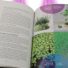 An organic vegetable garden in my house - Mama Editions - 1