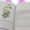 An organic vegetable garden in my house - Mama Editions - 1