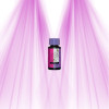 ATAMI B'cuzz Bloom - Flowering stimulator ATAMI - 1