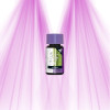 ATAMI B'cuzz Boost Silic - silicon additive ATAMI - 1