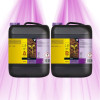 ATAMI B'Cuzz Soil Fertilizer - Terre Nutrition A + B ATAMI - 1