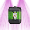 Growth and Flowering Stimulator - ATA XL - ATAMI