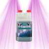 Canna RHIZOTONIC CANNA - 1